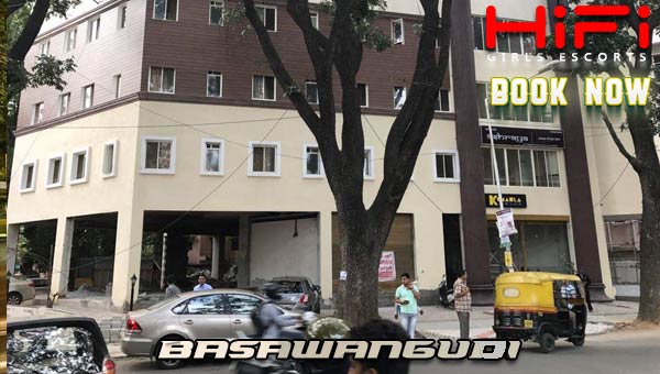             Basawangudi Escorts Service
